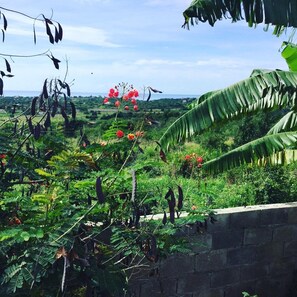 Property grounds - Ebony Cottage, on a hill overlooking the Sea (Treasure Beach)