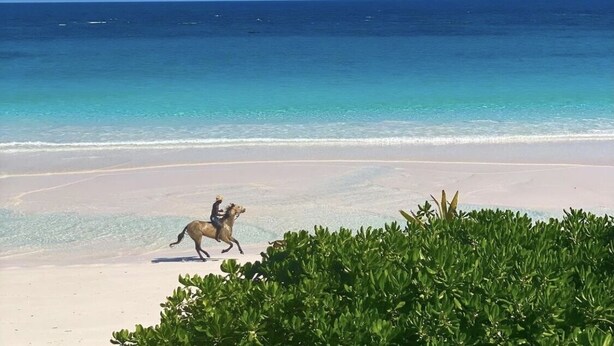 Una playa con aguas turquesas cristalinas y un jinete a caballo en movimiento.