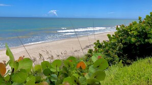 Ein Strand mit Wellen, blauem Himmel und grüner Vegetation.