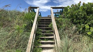 Eine Holztreppe führt zu einer Terrasse mit Blick auf den Himmel und die grüne Umgebung.