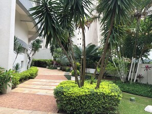 Un chemin mène à un bâtiment à la façade blanche, avec un jardin agrémenté de diverses plantes et d’un palmier.