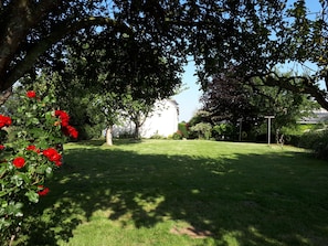 Ein gepflegter Garten mit Rasen, ein Baum mit roten Blüten und ein Gebäude im Hintergrund.