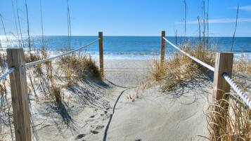 Plage, chaises longues