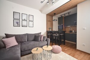 Apartamento Premium, 1 cama de matrimonio con sofá cama | Zona de estar | Una televisión de pantalla plana