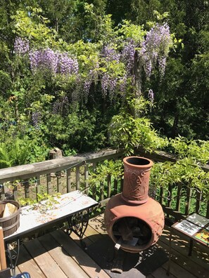 Property grounds - Beautiful home in Midcoast Maine (Rockport)