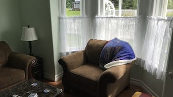 Flat-screen TV, Netflix, streaming services