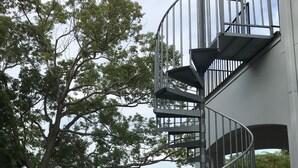 Una escalera en espiral que conduce a un segundo piso, rodeada de césped y un gran árbol.