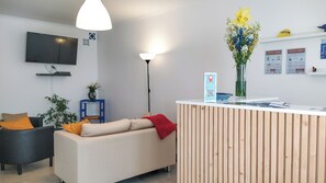 Televisión de pantalla plana