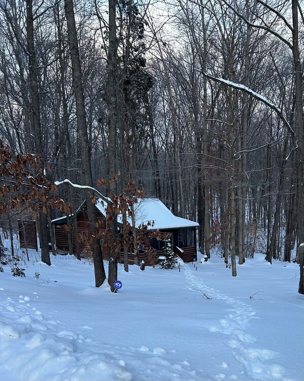 A cabin in a snowy forest with a snow-covered roof and a flag.