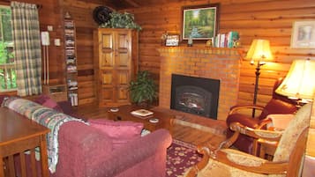 Een televisie, een open haard en boeken