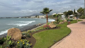 Una passeggiata costiera con vista sull'oceano, una palma e una zona verde con fiori.