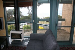 LCD TV, fireplace, DVD player, books