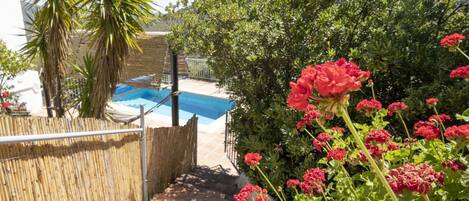 Een verwarmd zwembad