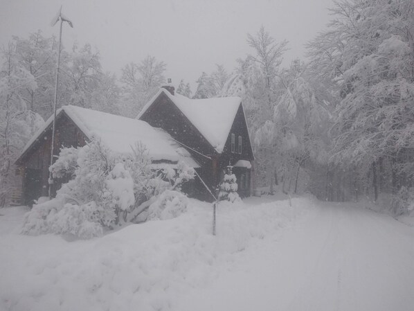 A snow-covered house with a steep roof and a chimney, surrounded by trees. - Off Grid Mountain Farmhouse with amazing views, soaking tub, seclusion, internet (South Duxbury)