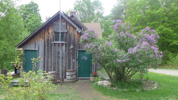 A rustic wooden cabin with a green door, surrounded by lush greenery and blooming purple flowers. - Off Grid Mountain Farmhouse with amazing views, soaking tub, seclusion, internet (South Duxbury)