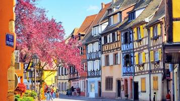 A street lined with traditional half-timbered buildings, a clear sky, and a tree with pink blossoms.