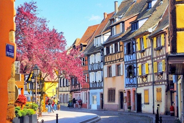 Une rue bordée de bâtiments traditionnels à colombages, un ciel dégagé et un arbre aux fleurs roses.
