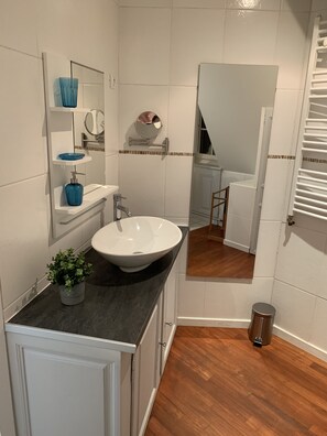 A bathroom with a white sink, a mirror, a blue soap dispenser, and a potted plant. - Historical town center spacious flat (Colmar)