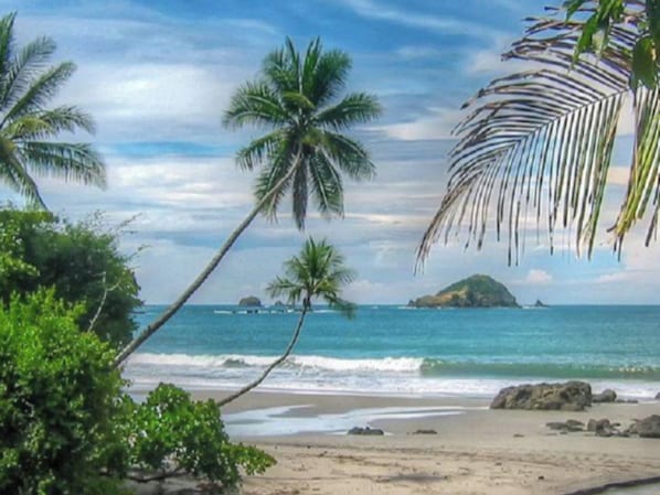 A beach with palm trees, a sandy shore, and a view of the ocean.