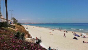 Una playa con gente tomando el sol y nadando, palmeras y un cielo azul despejado.