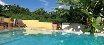 A Tropical Getaway