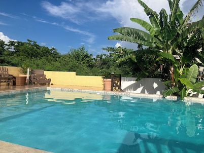 A Tropical Getaway