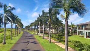 Eine von Palmen gesäumte Straße, die zu einem Resort mit mehreren Gebäuden führt.