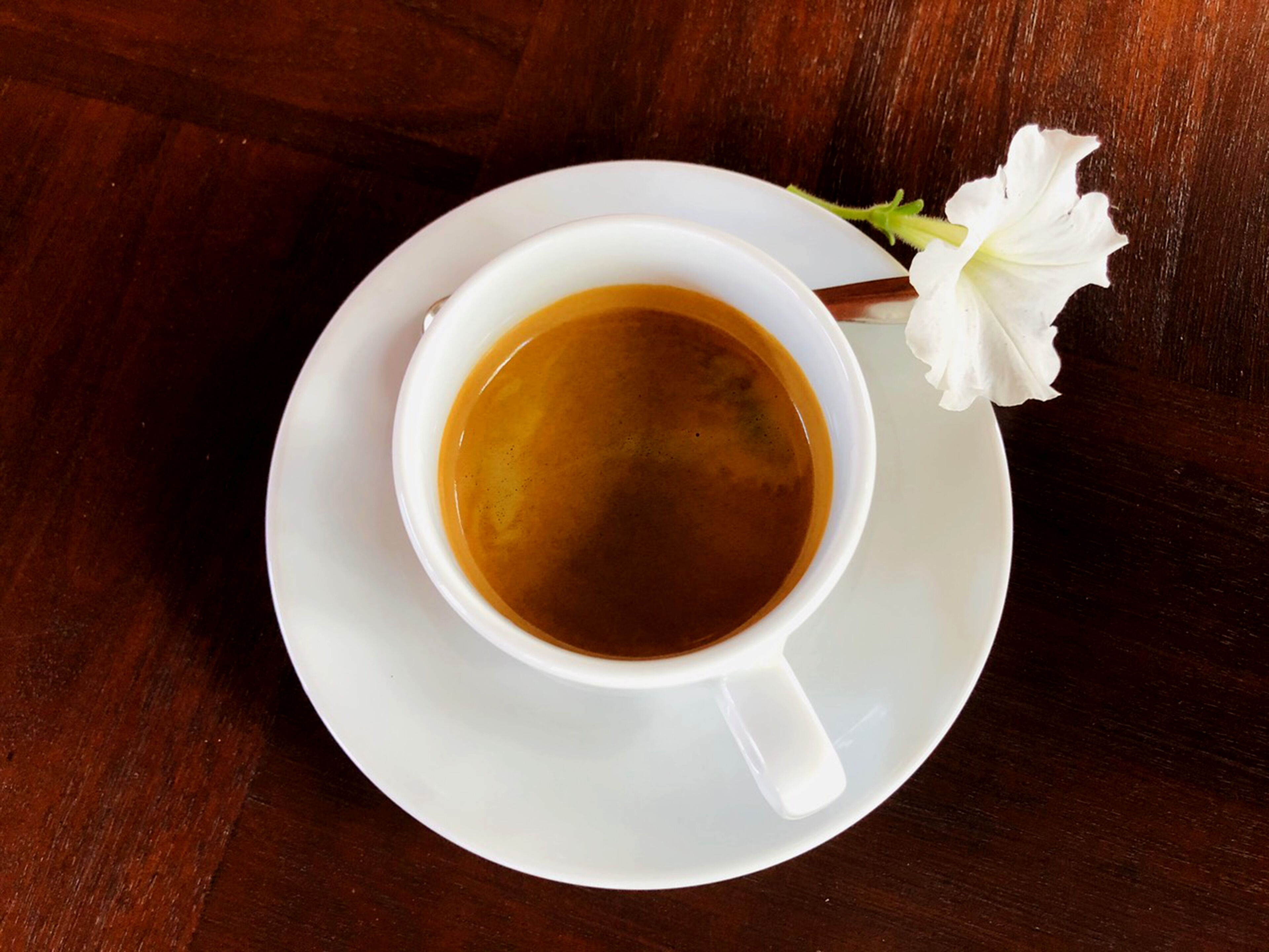 Una taza de café blanca sobre un plato bajo blanco, con una flor blanca a un lado.