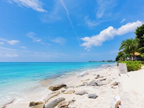 A beach with clear turquoise water, a rocky shoreline, and a palm tree.