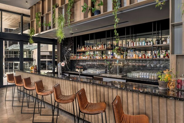 A modern bar area with a long counter, multiple shelves of liquor bottles, hanging plants, and leather bar stools.