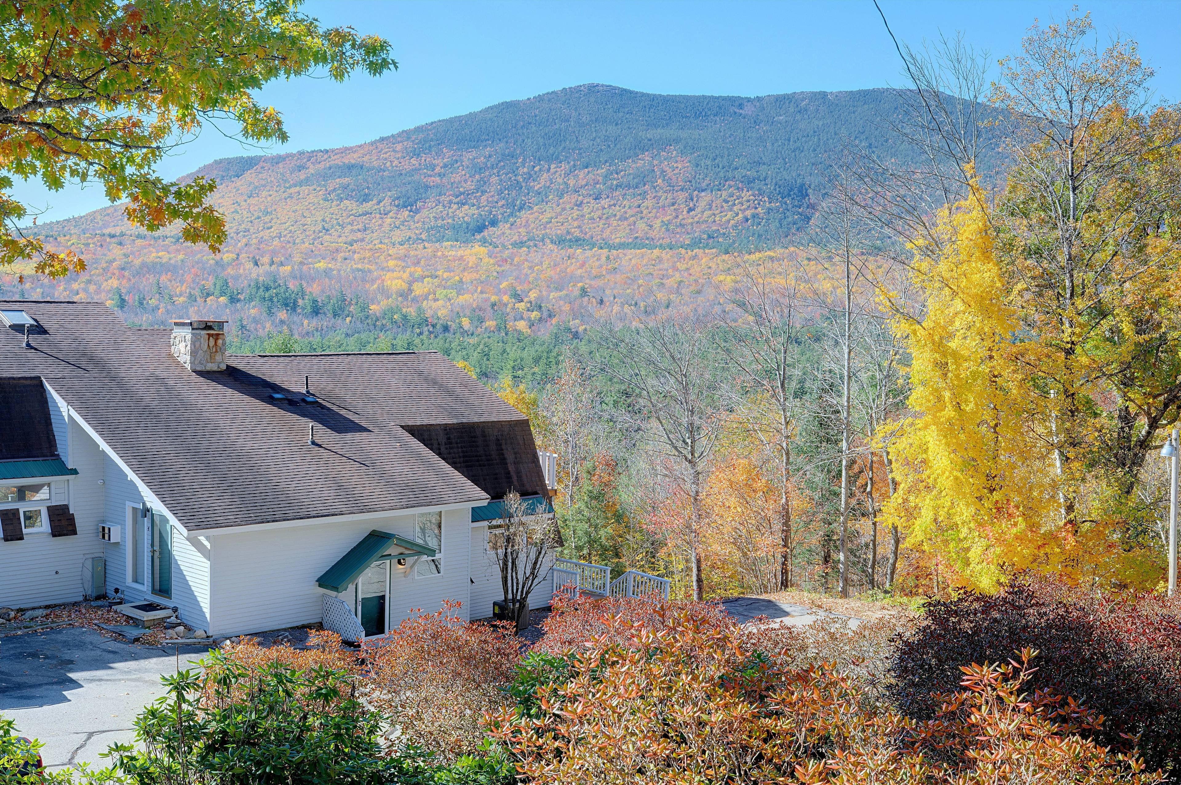 A house with a sloped roof, a front porch, and a view of a forested mountain range.