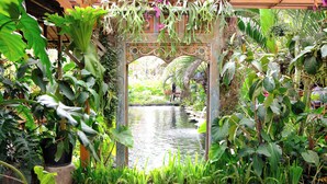 Un jardin agrémenté d’un élément aquatique, d’une arche en bois et d’une végétation luxuriante.