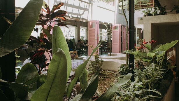 Un espace intérieur moderne doté de grandes fenêtres, de plantes d’intérieur et de coins salon.