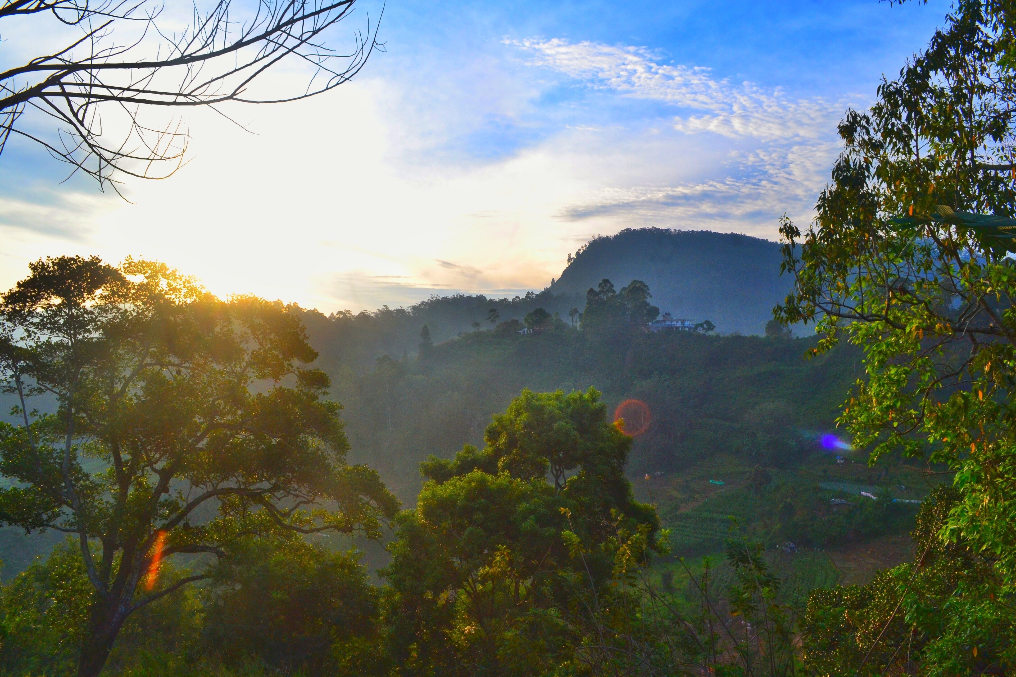 Vista a la montaña