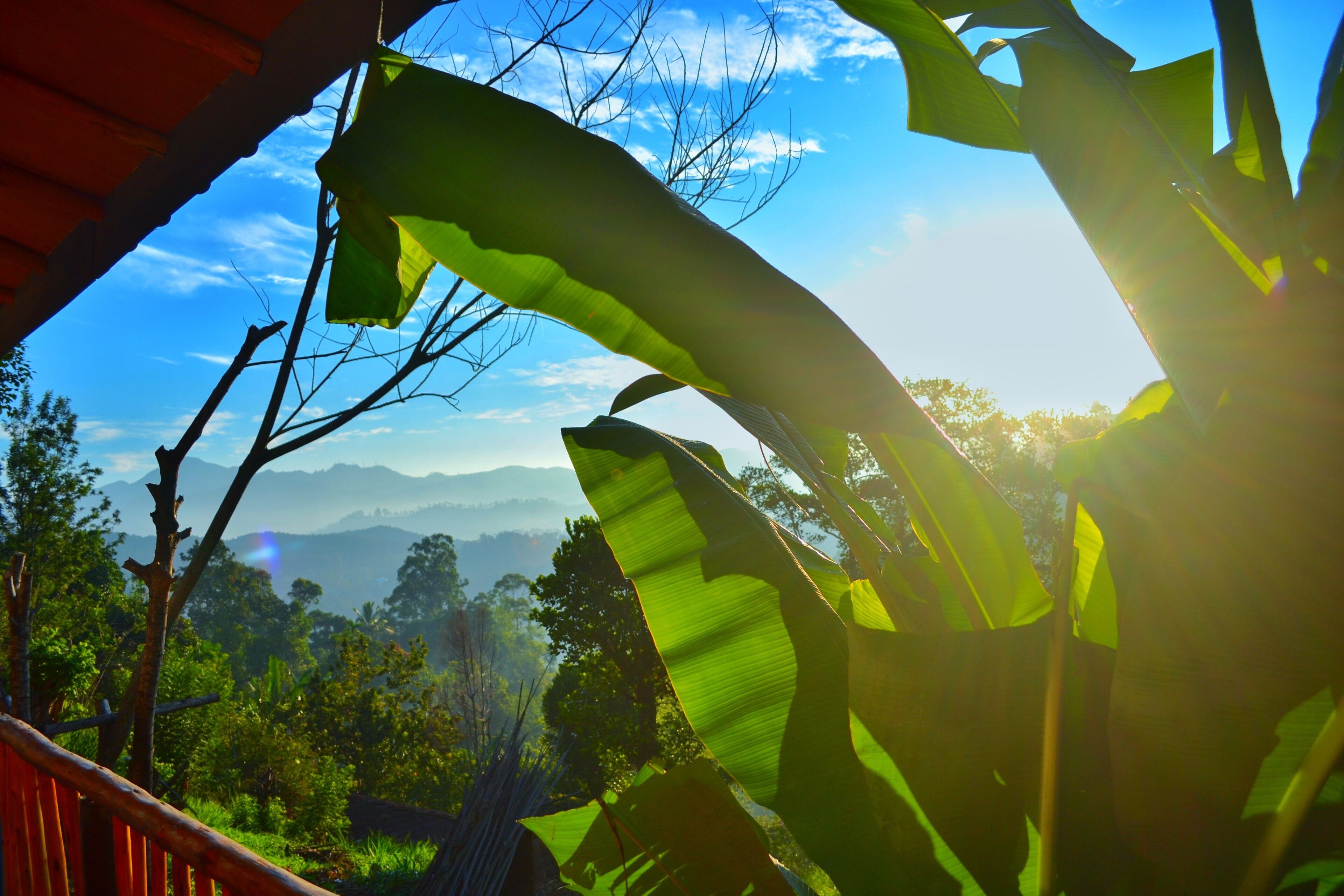 Balcony view