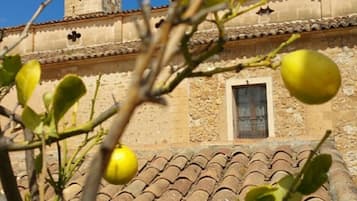 Detalle del exterior