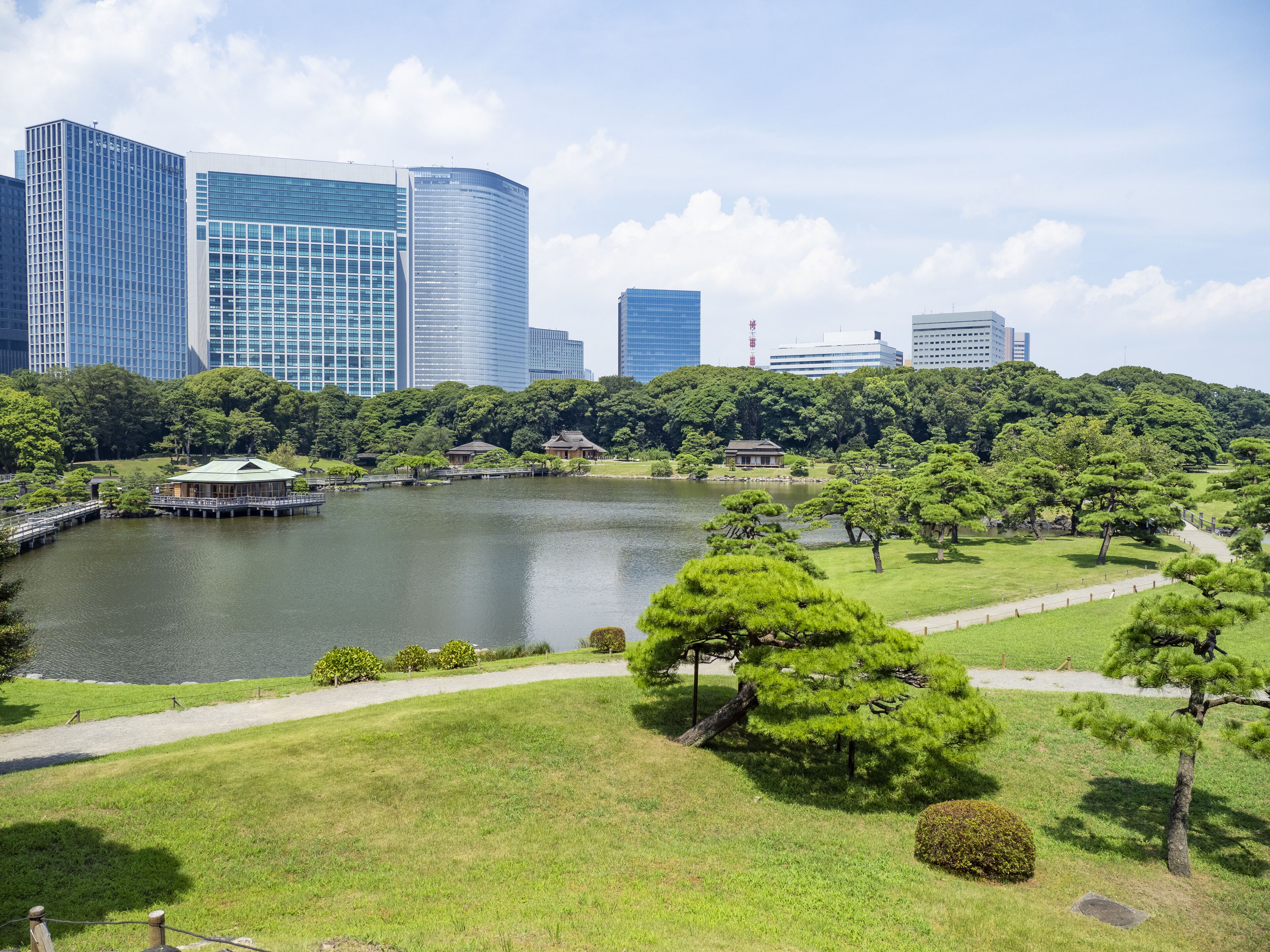 Foto - mesm Tokyo, Autograph Collection