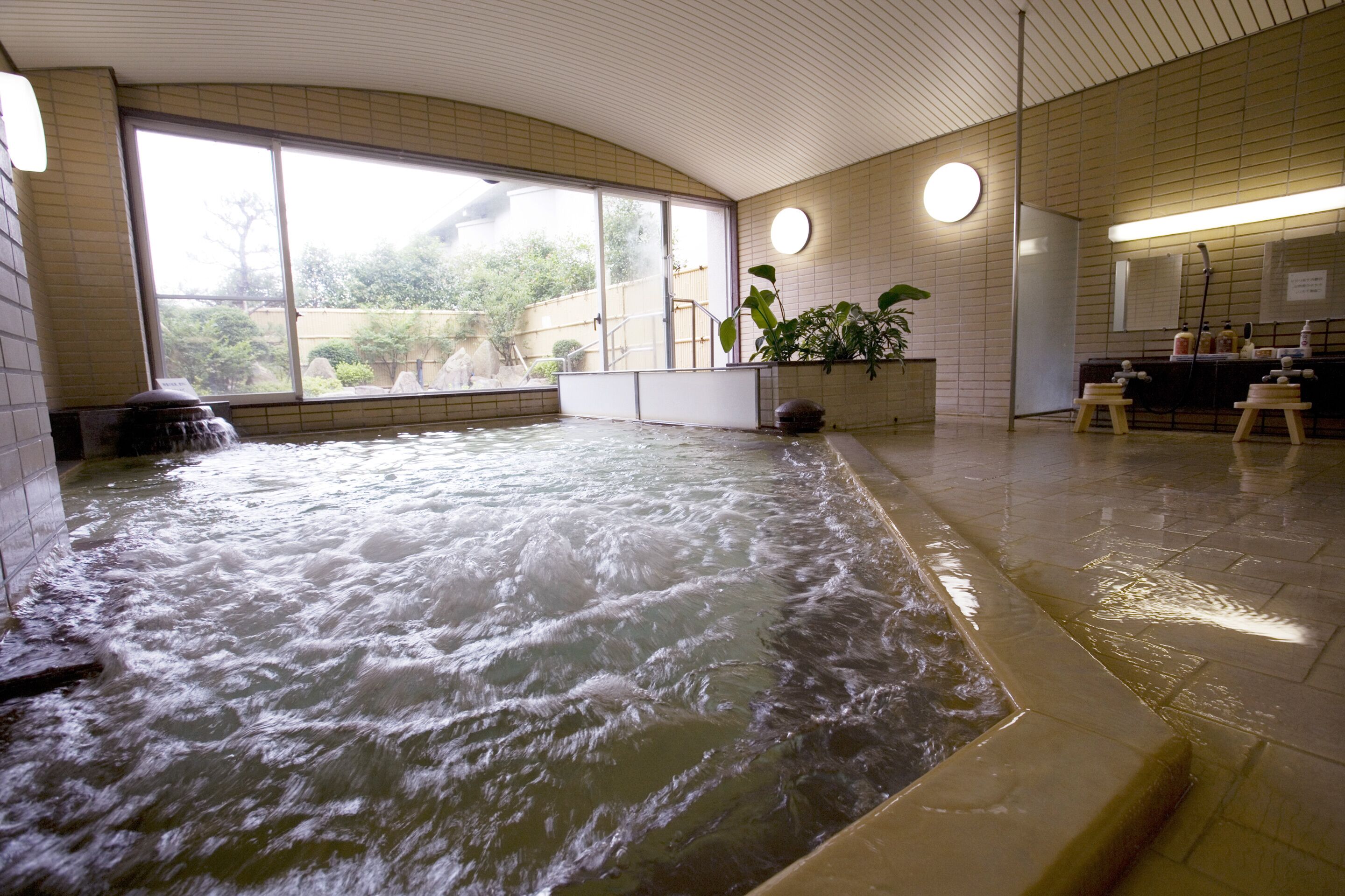 A hot tub with a view of greenery outside, a plant, and a counter with bottles.