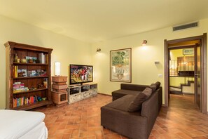 Smart TV, chimenea, reproductor de DVD y libros 