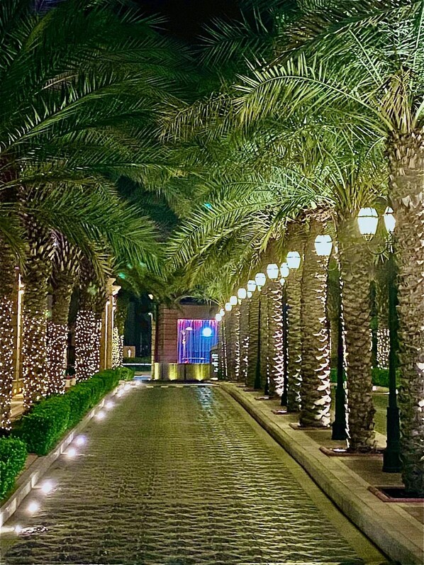 Un sendero bordeado de palmeras e iluminado por farolas, que conduce a un edificio con entrada iluminada en azul.