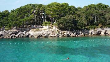 A coastal scene with clear turquoise water, a swimmer, and a rocky shoreline with trees.
