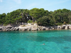 A coastal scene with clear turquoise water, a swimmer, and a rocky shoreline with trees. - Apartments Rosa (Krk)