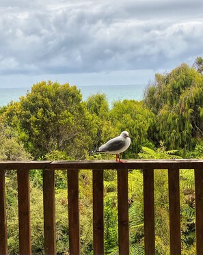 Property grounds - Stunning views of the Parinui (Te Miko)
