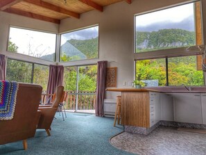 Smart TV, fireplace, DVD player, books