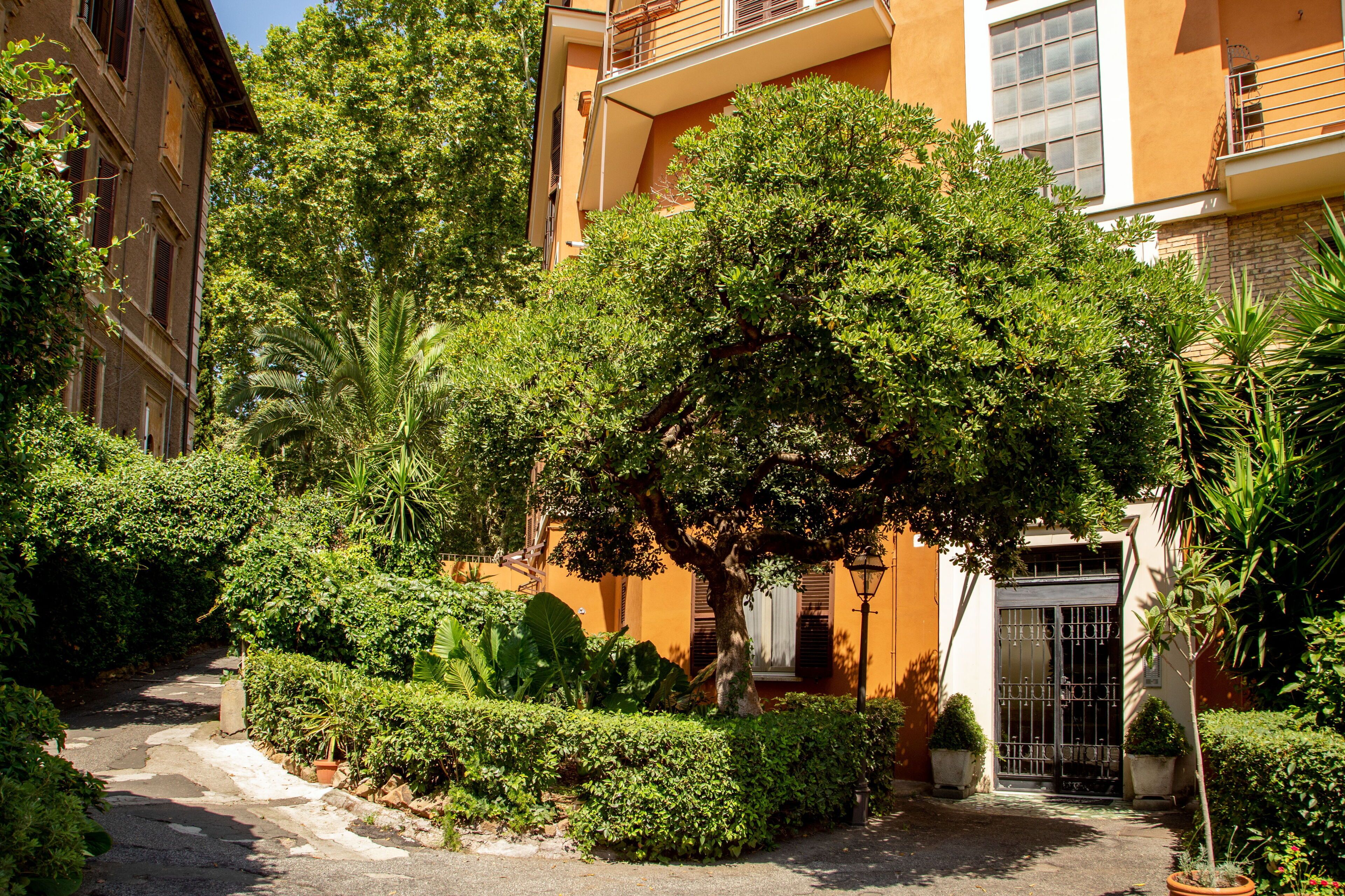 A courtyard with a paved path, surrounded by lush greenery and a building with a balcony.