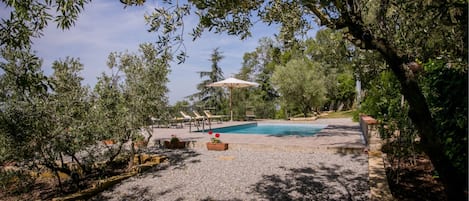 Seasonal outdoor pool, pool umbrellas, sun loungers