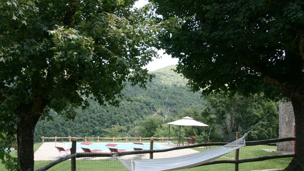 Una cadira de cadira sota un arbre, una piscina amb ombrelles i una vista d'un turó forestal.