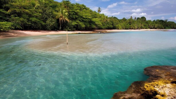 Ein tropischer Strand mit klarem türkisblauem Wasser, einem Sandstrand und dichtem Grünwerk.