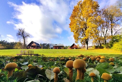 Maison de vacances élégante dans la forêt au bord de l'eau pour des vacances en famille en Lituanie nature