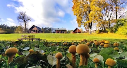 Maison de vacances Ă©lĂ©gante dans la forĂȘt au bord de l'eau pour des vacances en famille en Lituanie nature